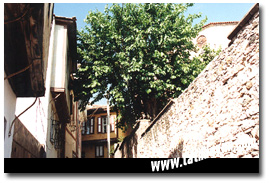  Taksiyarhis Kilisesi Sokağı

Fotoğraf: Gökhan Önal
Tarih: 10 MAYIS 1999