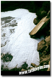  Ergene Nehri'ndeki Kirlilik

Fotoğraf: Gökhan Önal
Tarih: 16 EKİM 2002